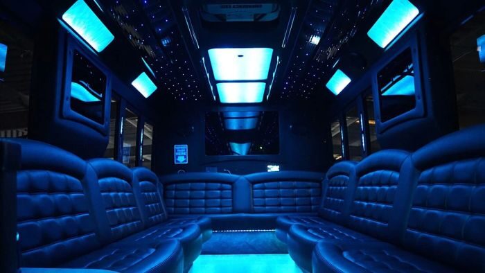 Wraparound seating and blue LED lights – Breckenridge limo service
