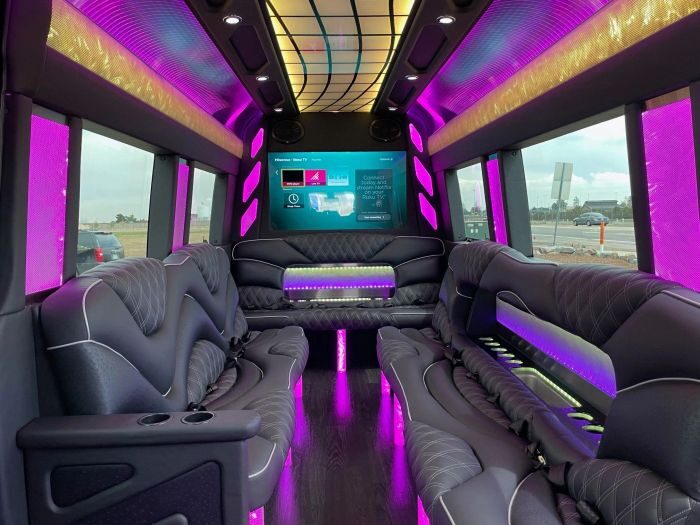 Sprinter limo lounge with TV – Breckenridge limo service