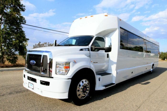 White party bus – Breckenridge limo service